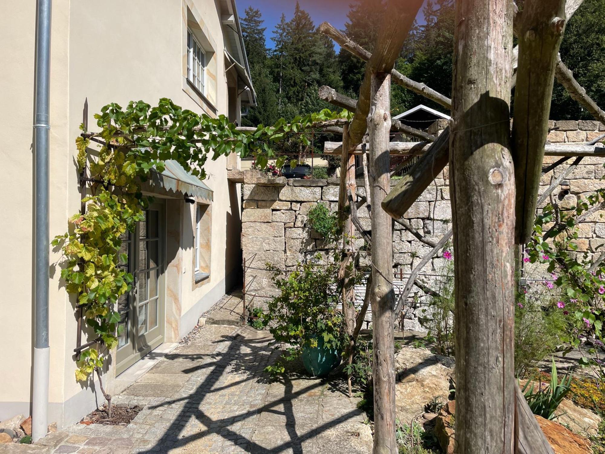 Forellenwasser Rosenthal-Bielatal Exterior photo
